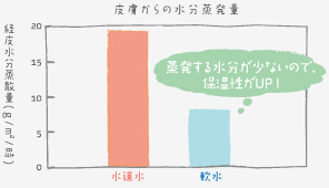 �畆����̐���������