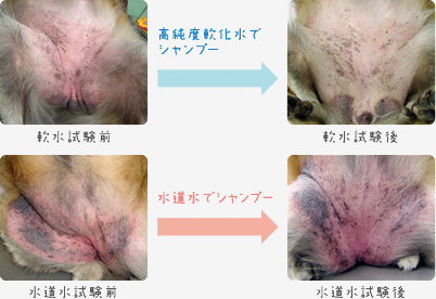 �����x����ŃV�����v�[�Ɛ������V�����v�[�̏�Ԕ�r